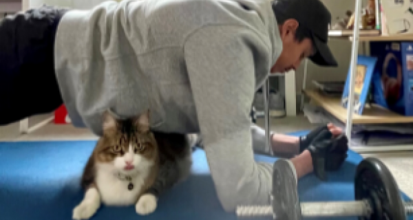 a teen boy doing plank with his pet cat