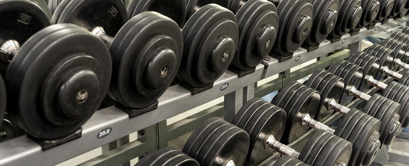 dumbells