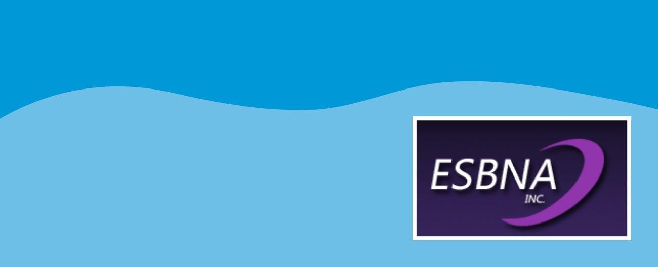 ESBNA Netball banner